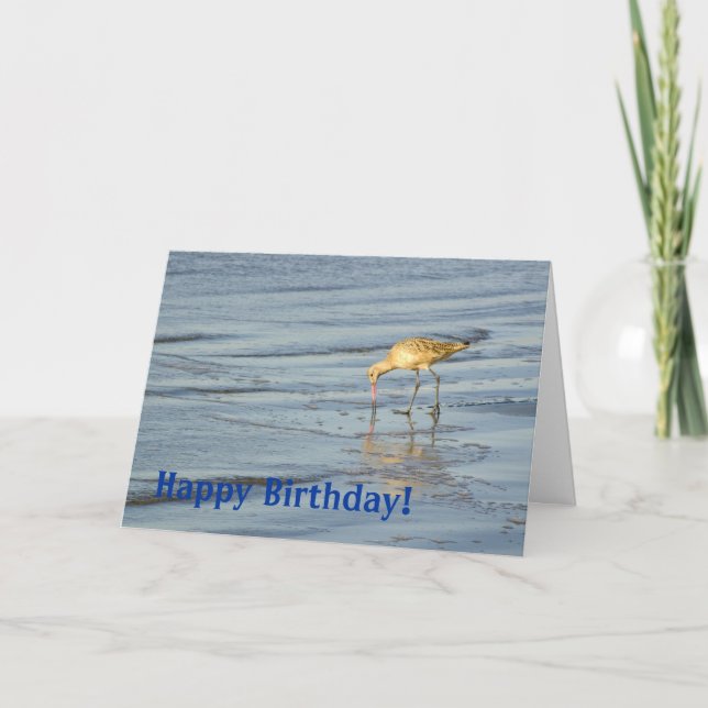 Cartão Beach Bird Happy Birday 3 (Frente)