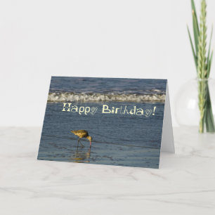 Cartão Beach Bird Happy Birday 4