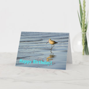 Cartão Beach Bird Parabéns 2
