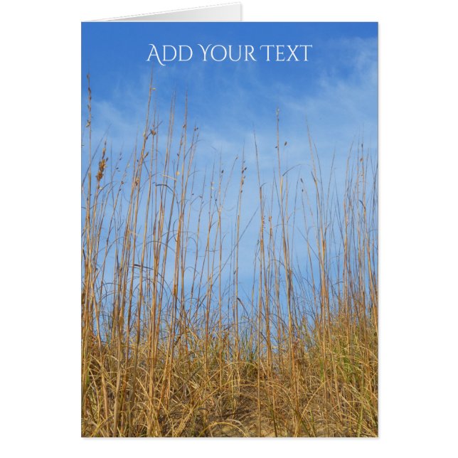 Cartão Beach Grass por Shirley Taylor (Frente)