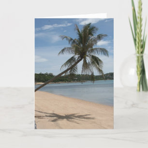 Cartão beach palm tree