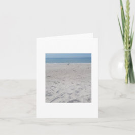 Cartão Beach Sand Piper, personalização da placa de Vazio