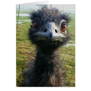 Cartão Beady Eyes EMU
