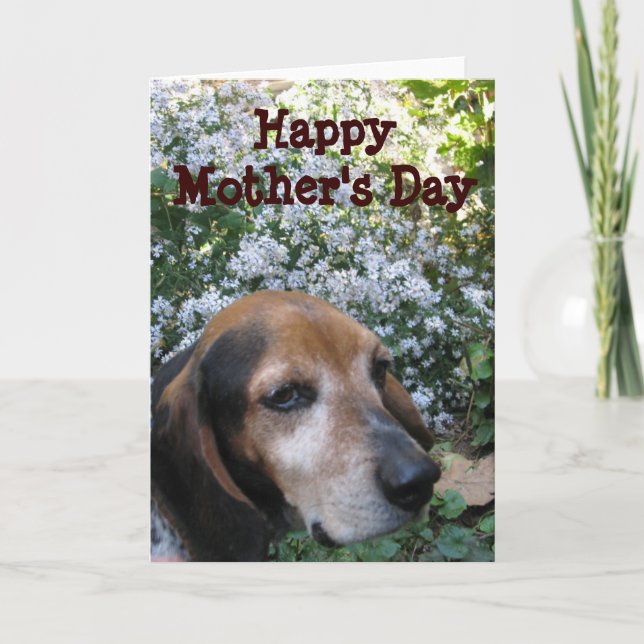 Cartão Beagle (Frente)