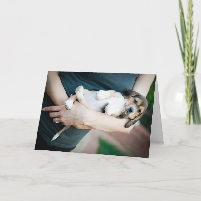 Cartão Beagle Babe Em Braços (Frente)