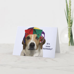 Cartão Beagle Birthday Card by Focus for a Cause