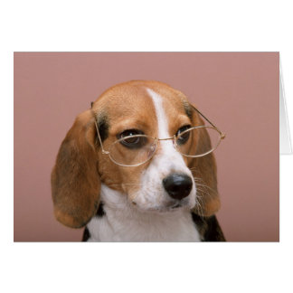 Cartão Beagle com óculos