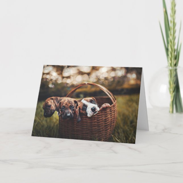 Cartão Beagle Hound Dog Cachorros Cachorros Pensando em v (Frente)