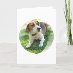 Cartão Beagle Hound Dog Greeting Card