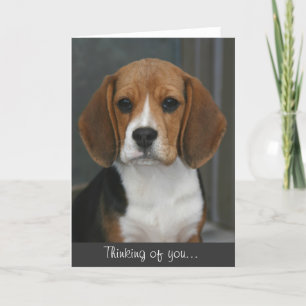 Cartão Beagle Portrait Card