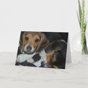Cartão Beagle Puppies Aniversário Card