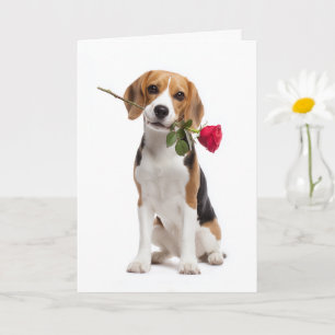 Cartão Beagle Valentine – Amor Leal com uma Rosa