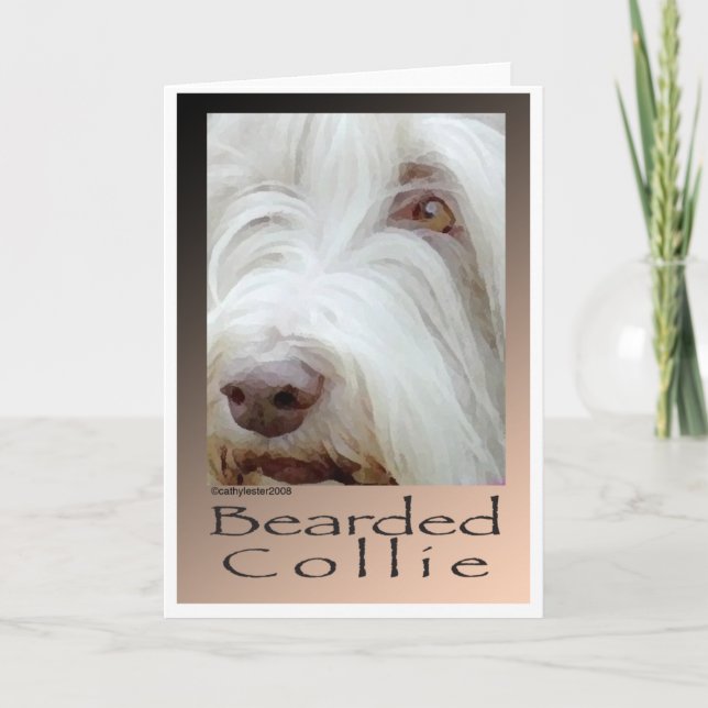 Cartão Bearded Collie (Frente)