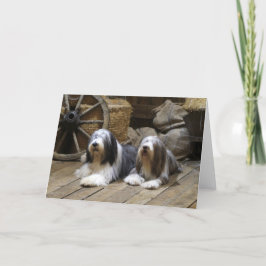 Cartão Bearded Collie