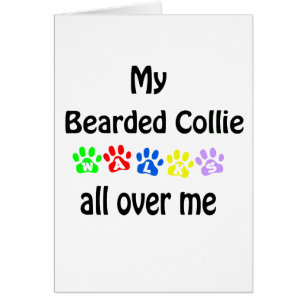 Cartão Bearded Collie Walks Design