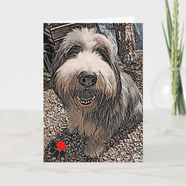 Cartão Beardie Happy Birthday Card (Frente)