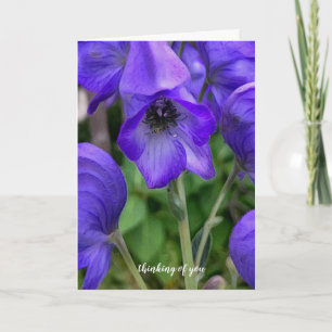 Cartão Beautiful Blue Delphiniums Sympathy Card