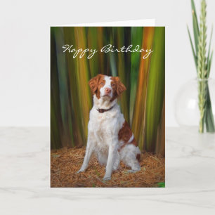 Cartão Beautiful Brittany Birthday Card