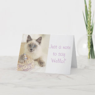 Cartão Beautiful Cat Just A Note to Say Hello Card