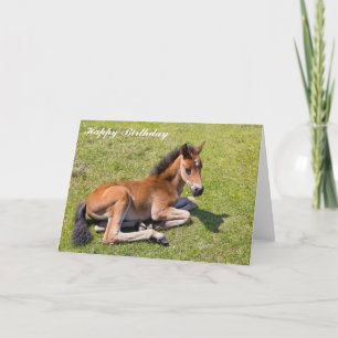 Cartão Beautiful Chestnut foal baby horse - Birthday Card