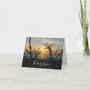 Cartão Beautiful Folly Morning Thinking Of You Card
