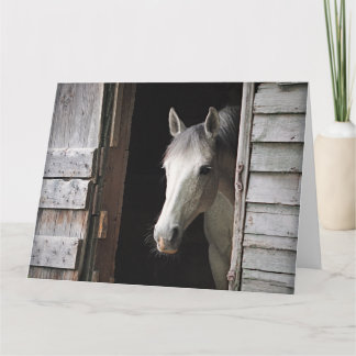 Cartão Beautiful Gray Mare Horse Rustic Ranch