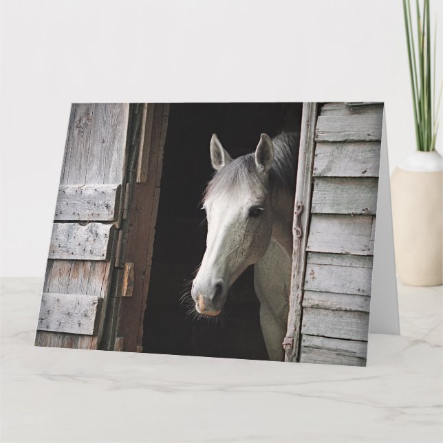 Cartão Beautiful Gray Mare Horse Rustic Ranch (Frente)
