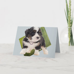 Cartão Beautiful Green Bernedoodle Puppy Art 