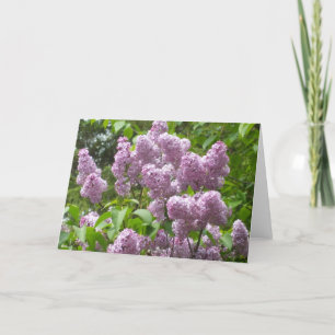 Cartão Beautiful Lilacs Blank Note Card-Floral Photograph