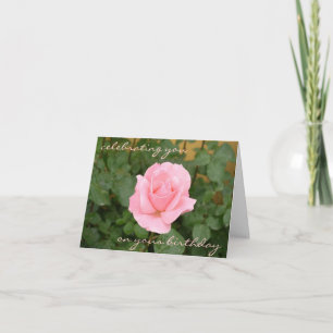 Cartão Beautiful Pink Rose Birthday Card