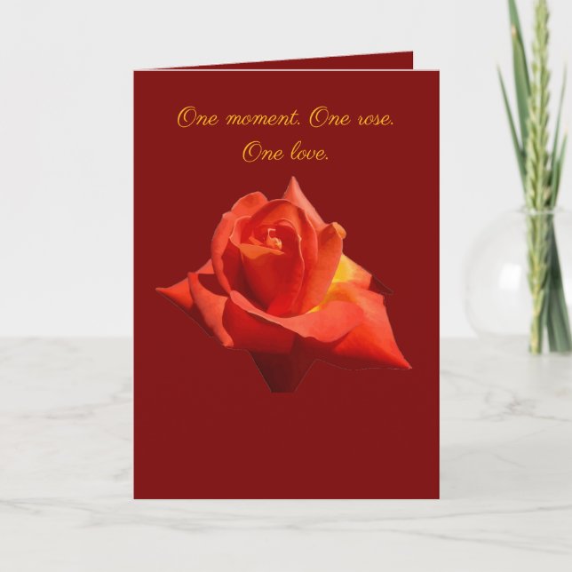 Cartão Beautiful Red Rose Isolated Photograph Vector (Frente)