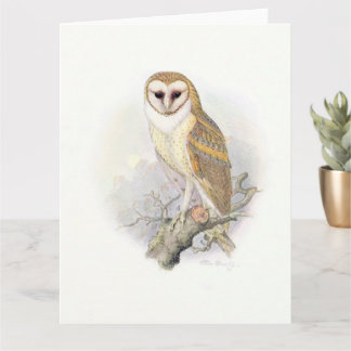 Cartão Beautiful Vintage Painting of a Barn Owl