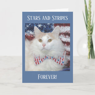Cartão Beautiful white and orange cat patriotic card
