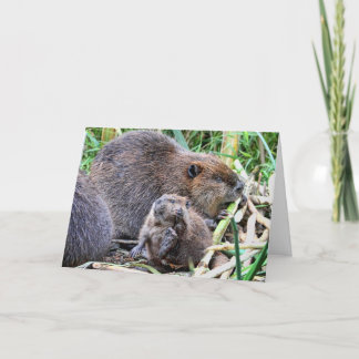 Cartão Beaver e Foto da Família
