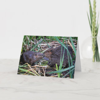 Cartão Beavers Bissing Foto