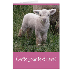 Cartão Bebê adorável