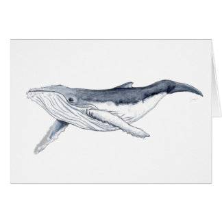 Cartão Bebe ballena yubarta