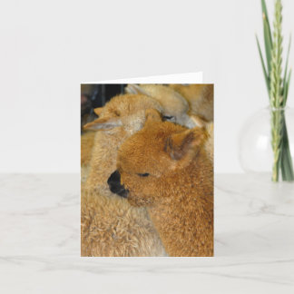 Cartão Bebê bonito