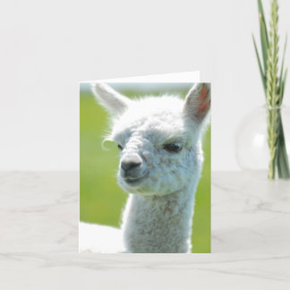 Cartão Bebé branco