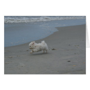 Cartão Bebê da praia