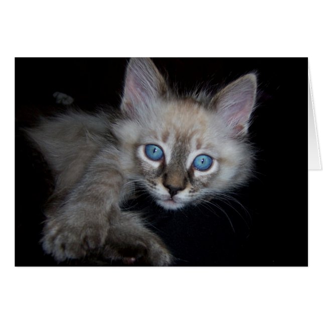 Cartão Bebé de olhos azuis (Frente Horizontal)