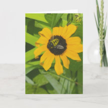 Bebê descendo em uma placa de saudação de Vazio de