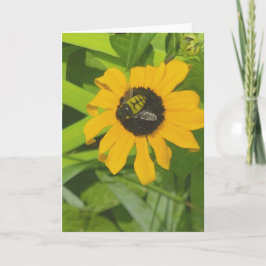 Cartão Bebê descendo em uma placa de saudação de Vazio de