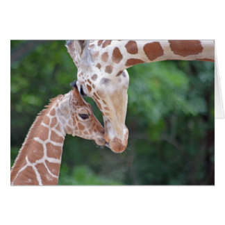 Cartão Bebê e Mãe Girafa