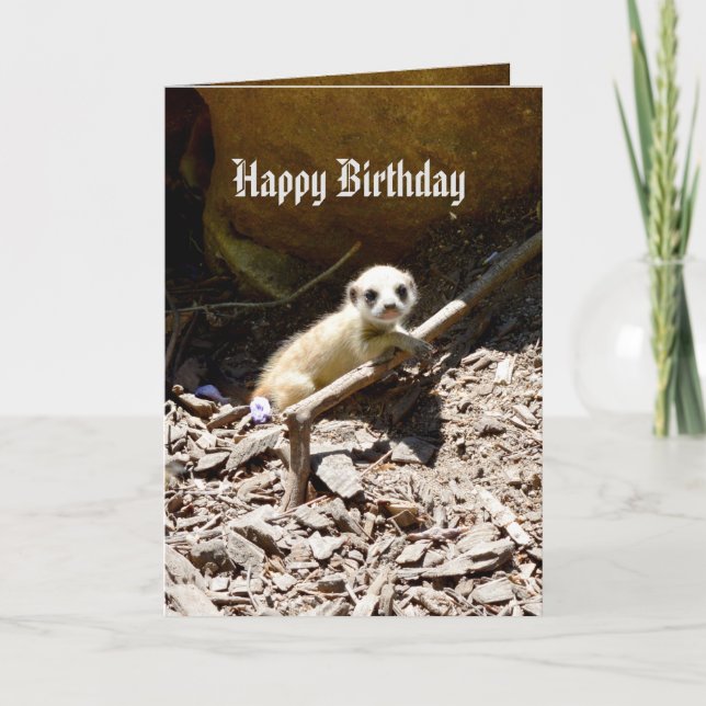 Cartão Bebê Meerkat de Insy Winsy, aniversário (Frente)