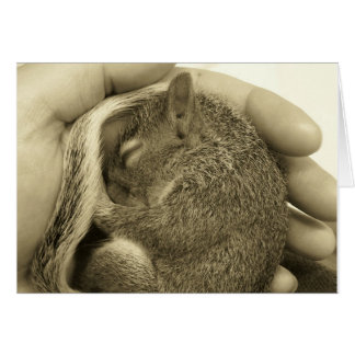 Cartão Bebê Sonolento