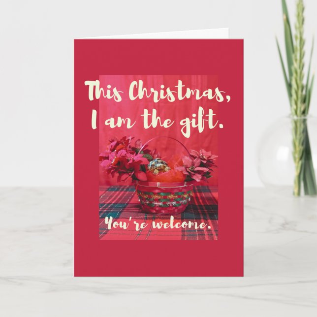 Cartão Bebê-Sulcata Tortoise em poinsettia cesta (Frente)