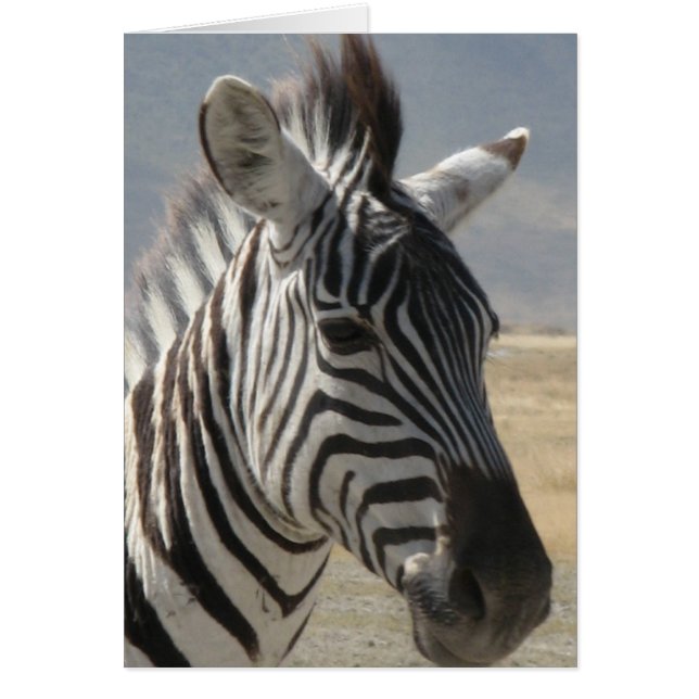Cartão bebê Zebra (Frente)