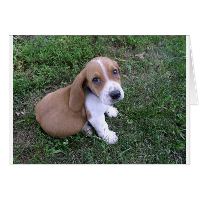 Cartão bebês (8) (Frente Horizontal)