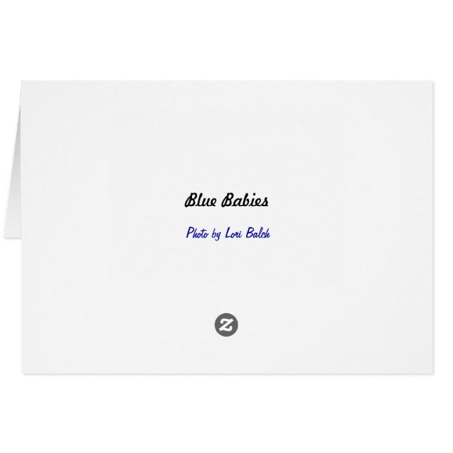 Cartão Bebês Azuis (Verso horizontal)